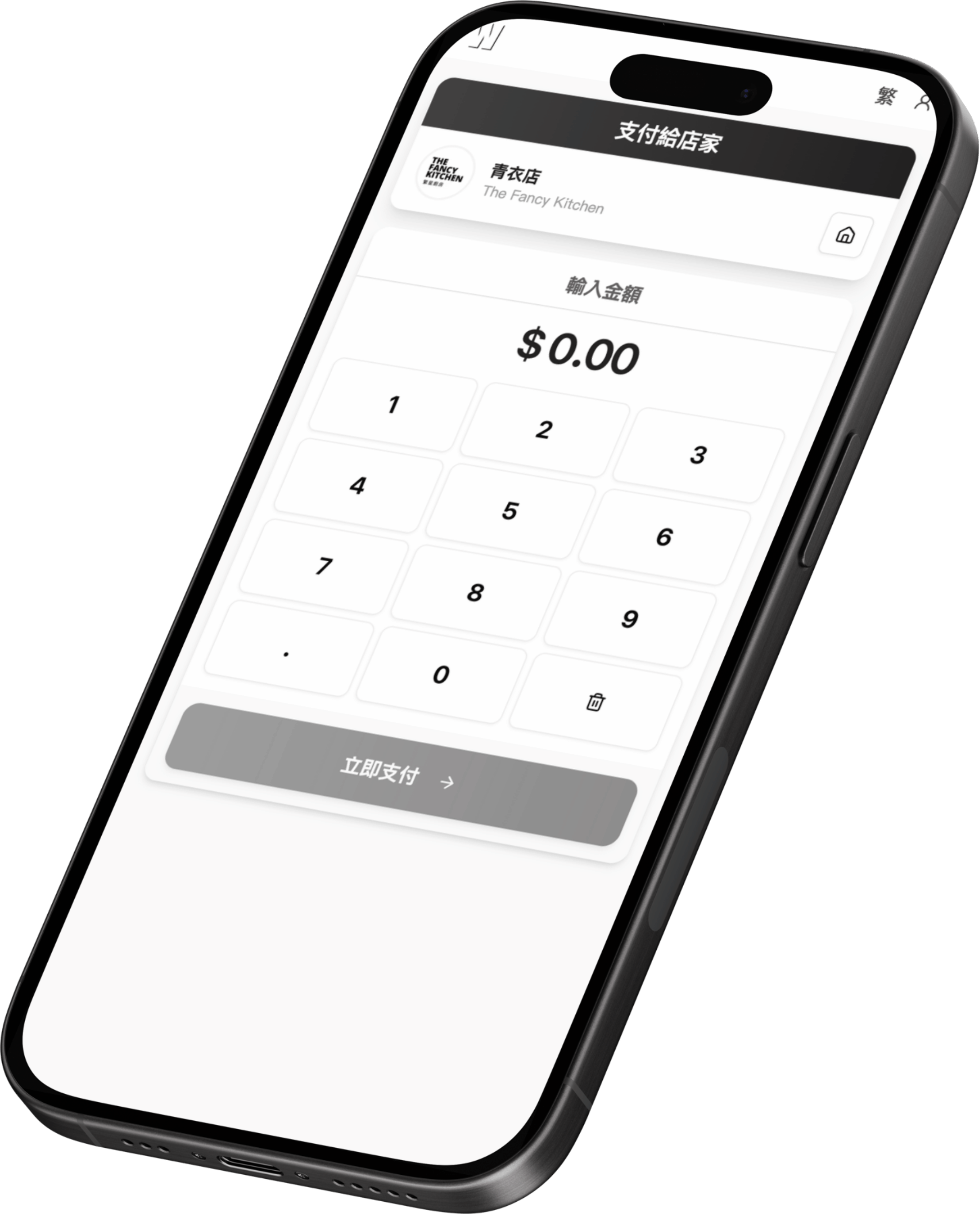 Payment Interface